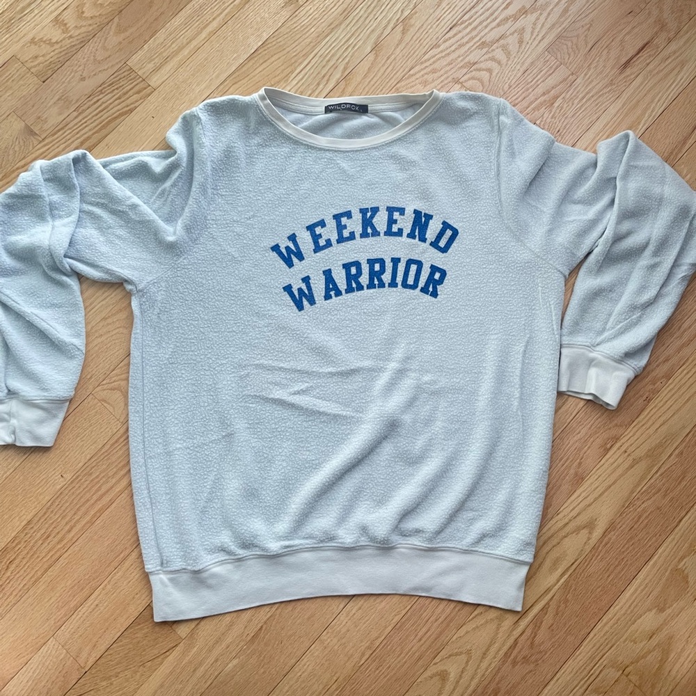 WILDFOX Light Blue Sweater in Size L